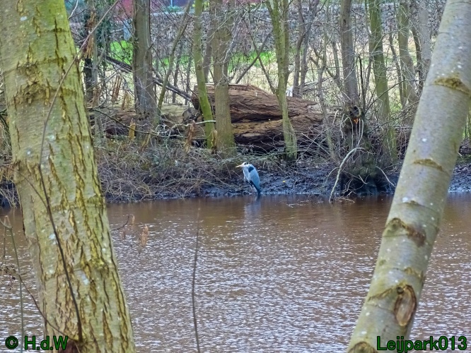 1 &amp; 2 &amp; 3 &amp; 4 maart 2024