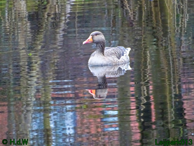 1 &amp; 2 &amp; 3 &amp; 4 maart 2024