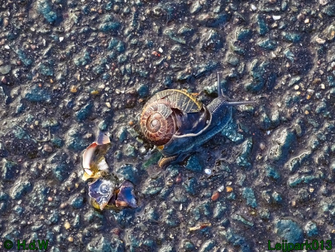 1 &amp; 2 &amp; 3 &amp; 4 maart 2024