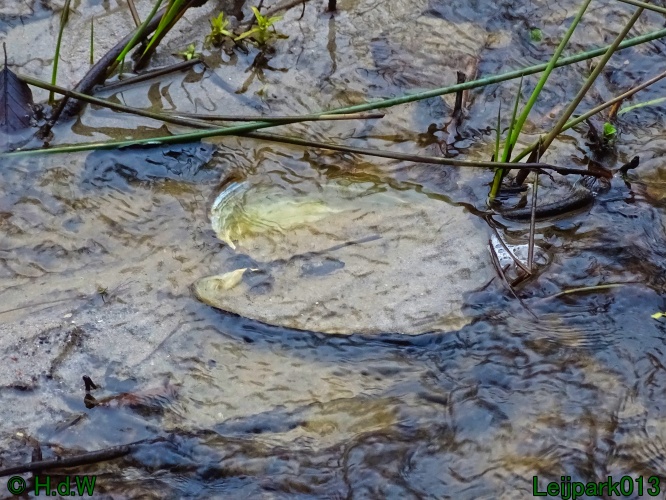 1 &amp; 2 &amp; 3 &amp; 4 maart 2024