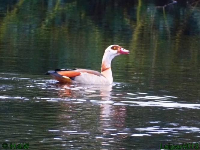 1 &amp; 2 &amp; 3 &amp; 4 maart 2024