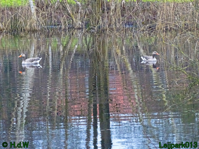 1 &amp; 2 &amp; 3 &amp; 4 maart 2024