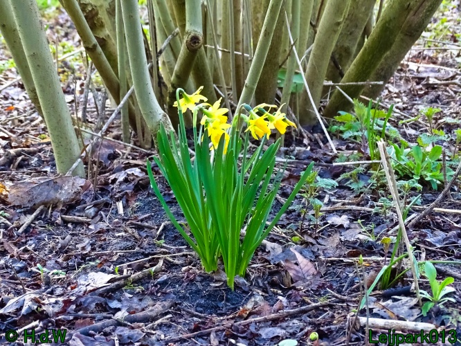 1 &amp; 2 &amp; 3 &amp; 4 maart 2024