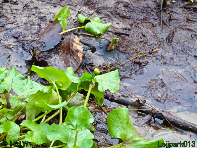 1 &amp; 2 &amp; 3 &amp; 4 maart 2024