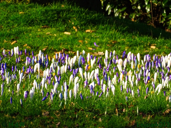 1 &amp; 2 &amp; 3 &amp; 4 maart 2024