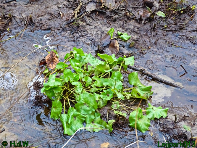 1 &amp; 2 &amp; 3 &amp; 4 maart 2024