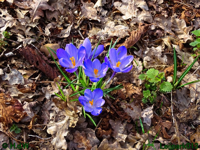 1 &amp; 2 &amp; 3 &amp; 4 maart 2024