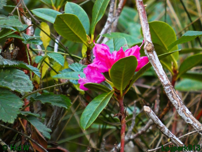 1 &amp; 2 &amp; 3 &amp; 4 oktober 2025