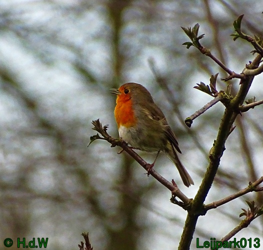 9 &amp; 10 &amp; 11&amp; 12 maart 2024