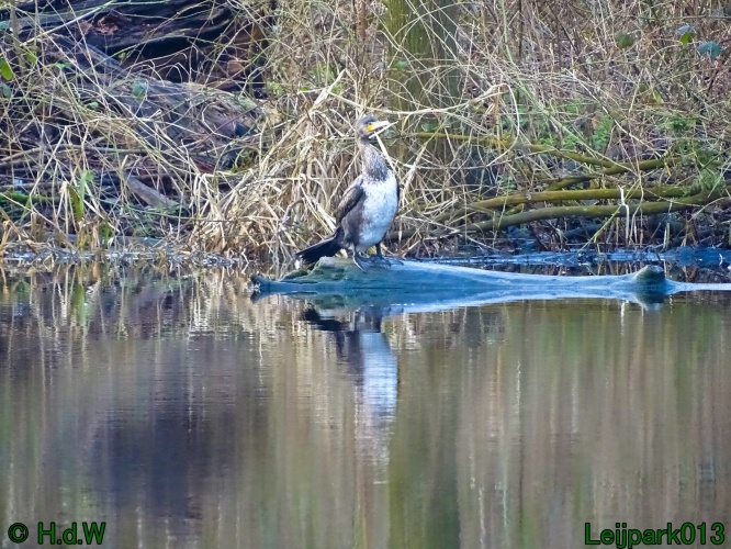 9 &amp; 10 &amp; 11&amp; 12 maart 2024