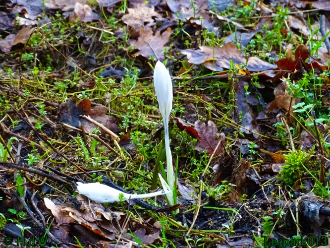 9 &amp; 10 &amp; 11&amp; 12 maart 2024