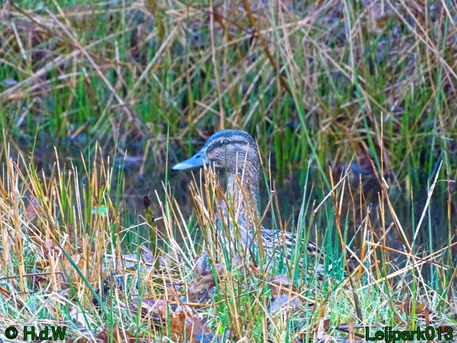 9 &amp; 10 &amp; 11&amp; 12 maart 2024