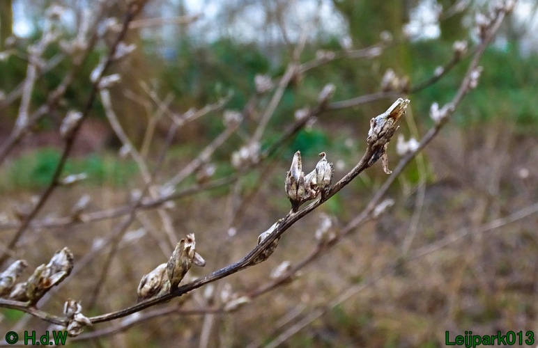 9 &amp; 10 &amp; 11&amp; 12 maart 2024