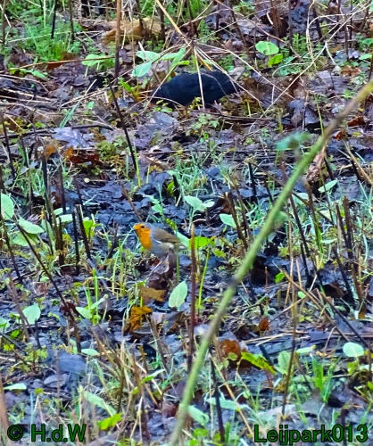 9 &amp; 10 &amp; 11&amp; 12 maart 2024