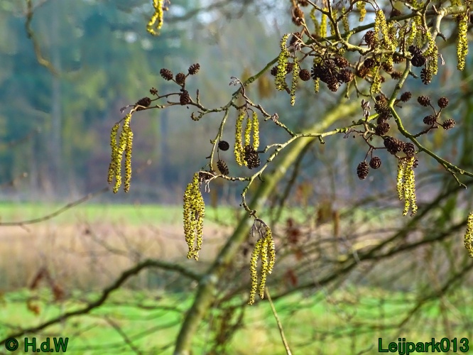 9 &amp; 10 &amp; 11&amp; 12 maart 2024