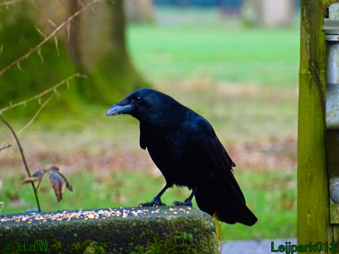 9 &amp; 10 &amp; 11&amp; 12 maart 2024