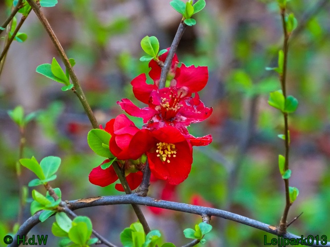 9 &amp; 10 &amp; 11&amp; 12 maart 2024