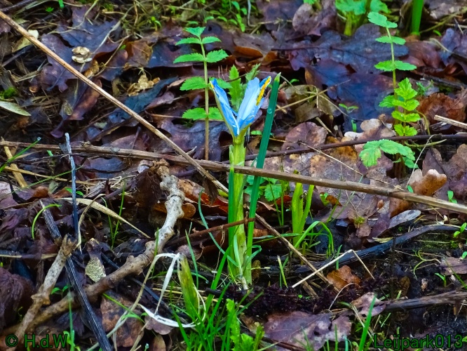 9 &amp; 10 &amp; 11&amp; 12 maart 2024