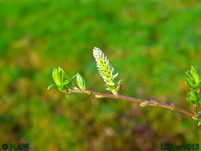 9 &amp; 10 &amp; 11&amp; 12 maart 2024