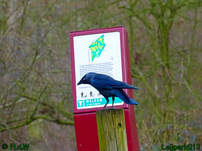 9 &amp; 10 &amp; 11&amp; 12 maart 2024