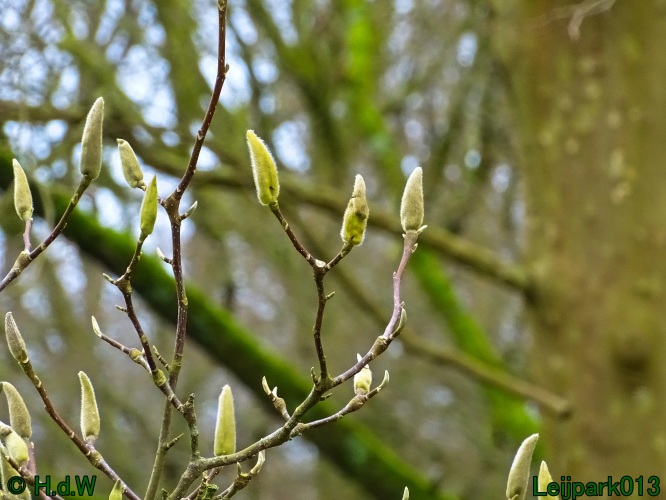 9 &amp; 10 &amp; 11&amp; 12 maart 2024