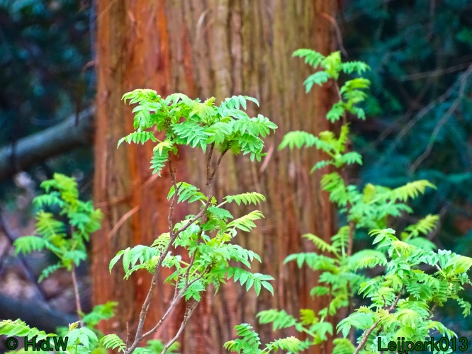 9 &amp; 10 &amp; 11&amp; 12 maart 2024