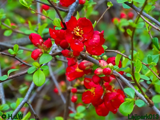 9 &amp; 10 &amp; 11&amp; 12 maart 2024