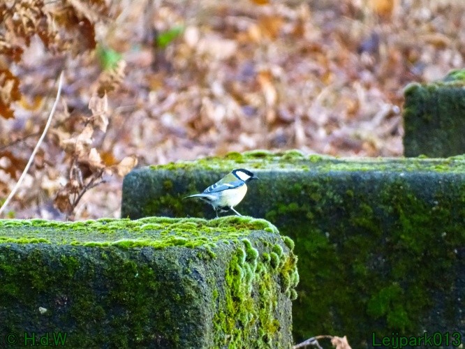 9 &amp; 10 &amp; 11&amp; 12 maart 2024