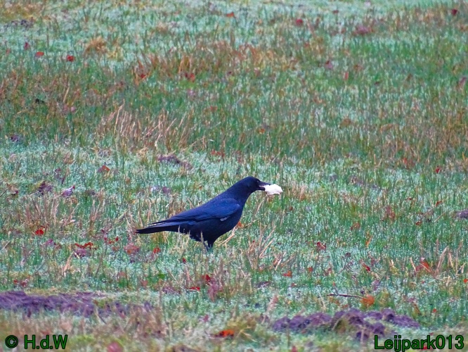 9 &amp; 10 &amp; 11&amp; 12 maart 2024