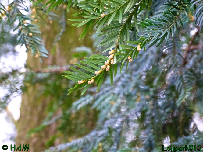 9 &amp; 10 &amp; 11&amp; 12 maart 2024