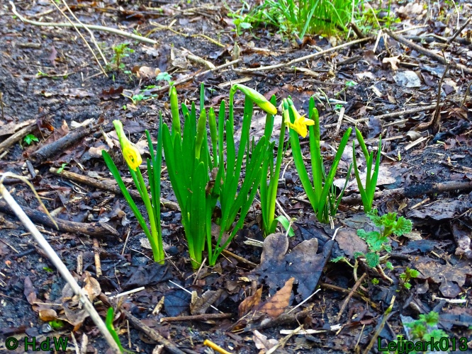 9 &amp; 10 &amp; 11&amp; 12 maart 2024