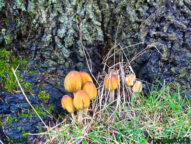 9 &amp; 10 &amp; 11&amp; 12 maart 2024