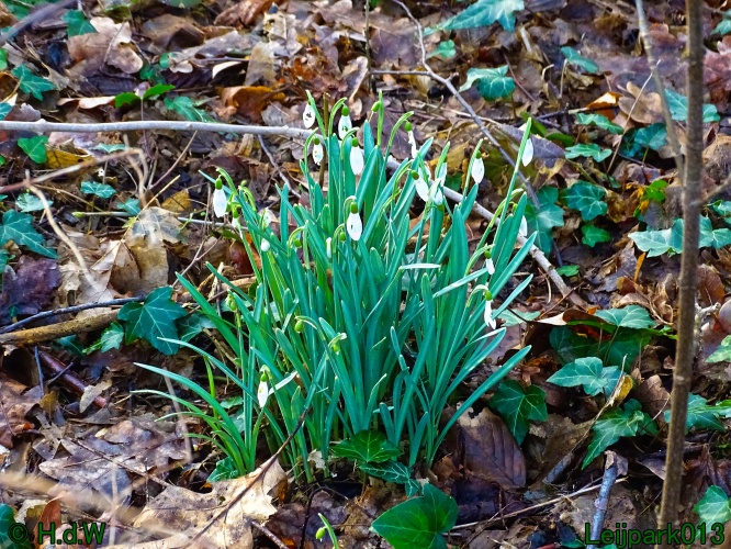 9 &amp; 10 &amp; 11&amp; 12 maart 2024