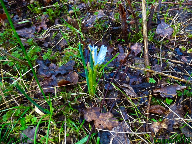 9 &amp; 10 &amp; 11&amp; 12 maart 2024