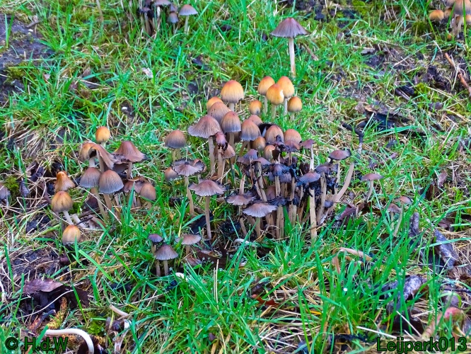 9 &amp; 10 &amp; 11&amp; 12 maart 2024