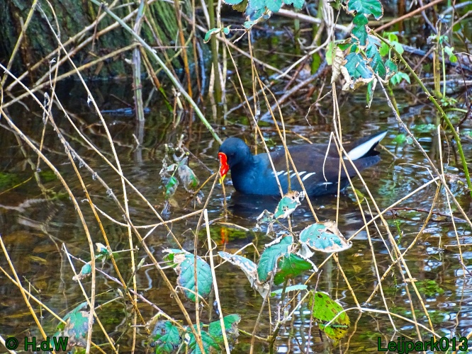 9 &amp; 10 &amp; 11&amp; 12 maart 2024