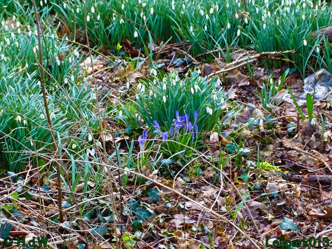 9 &amp; 10 &amp; 11&amp; 12 maart 2024