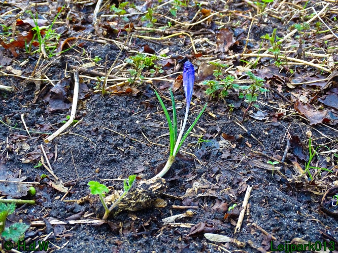 9 &amp; 10 &amp; 11&amp; 12 maart 2024