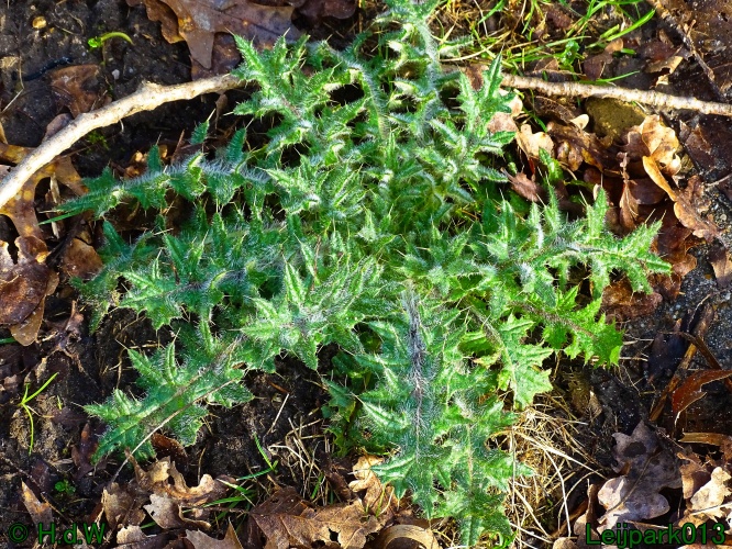 9 &amp; 10 &amp; 11&amp; 12 maart 2024