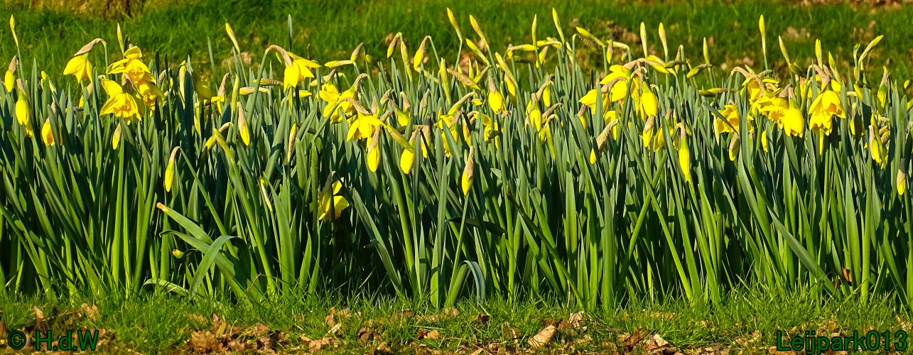 13 &amp; 14 &amp; 15 &amp; 16 maart 2024