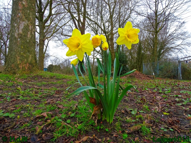 13 &amp; 14 &amp; 15 &amp; 16 maart 2024