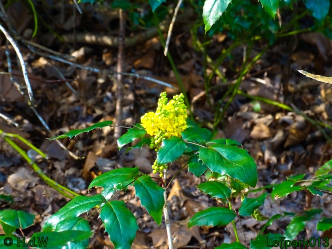 13 &amp; 14 &amp; 15 &amp; 16 maart 2024