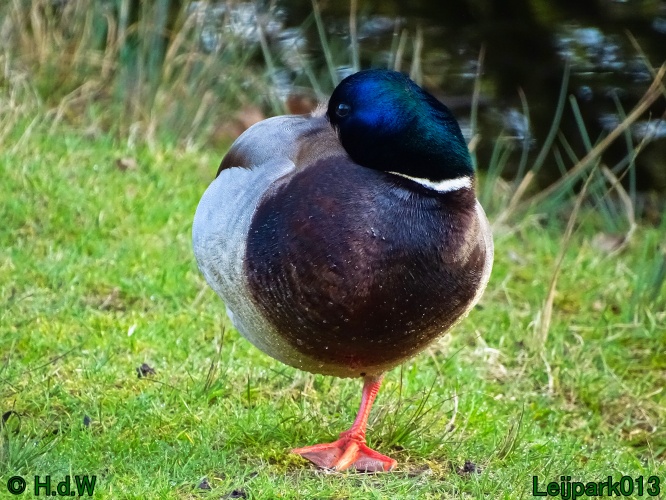 13 &amp; 14 &amp; 15 &amp; 16 maart 2024