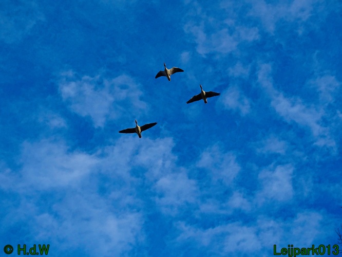 13 &amp; 14 &amp; 15 &amp; 16 maart 2024