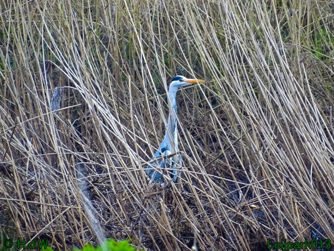 13 &amp; 14 &amp; 15 &amp; 16 maart 2024