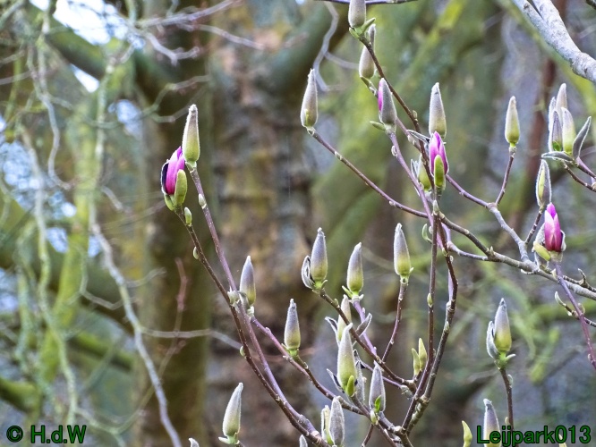 13 &amp; 14 &amp; 15 &amp; 16 maart 2024