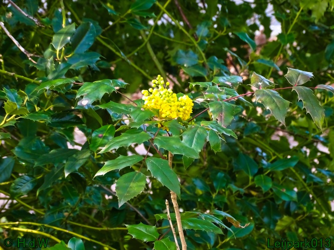 13 &amp; 14 &amp; 15 &amp; 16 maart 2024