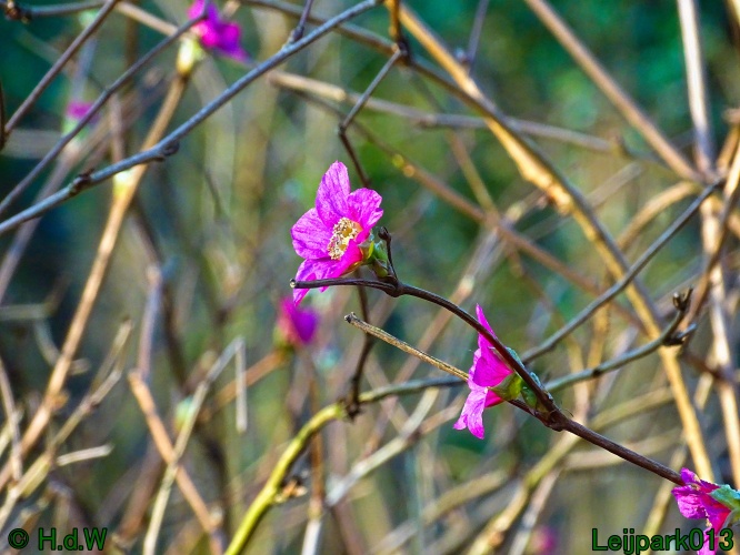 13 &amp; 14 &amp; 15 &amp; 16 maart 2024