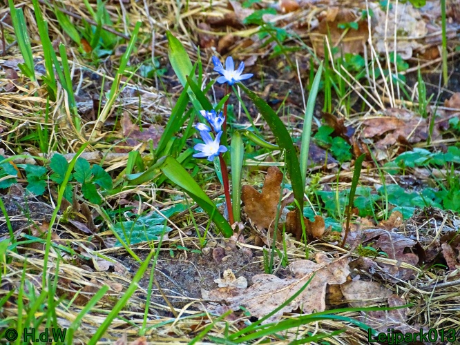 13 &amp; 14 &amp; 15 &amp; 16 maart 2024