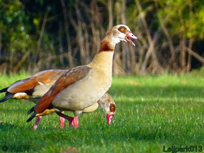 17 &amp; 18 &amp; 19 &amp; 20 maart 2024